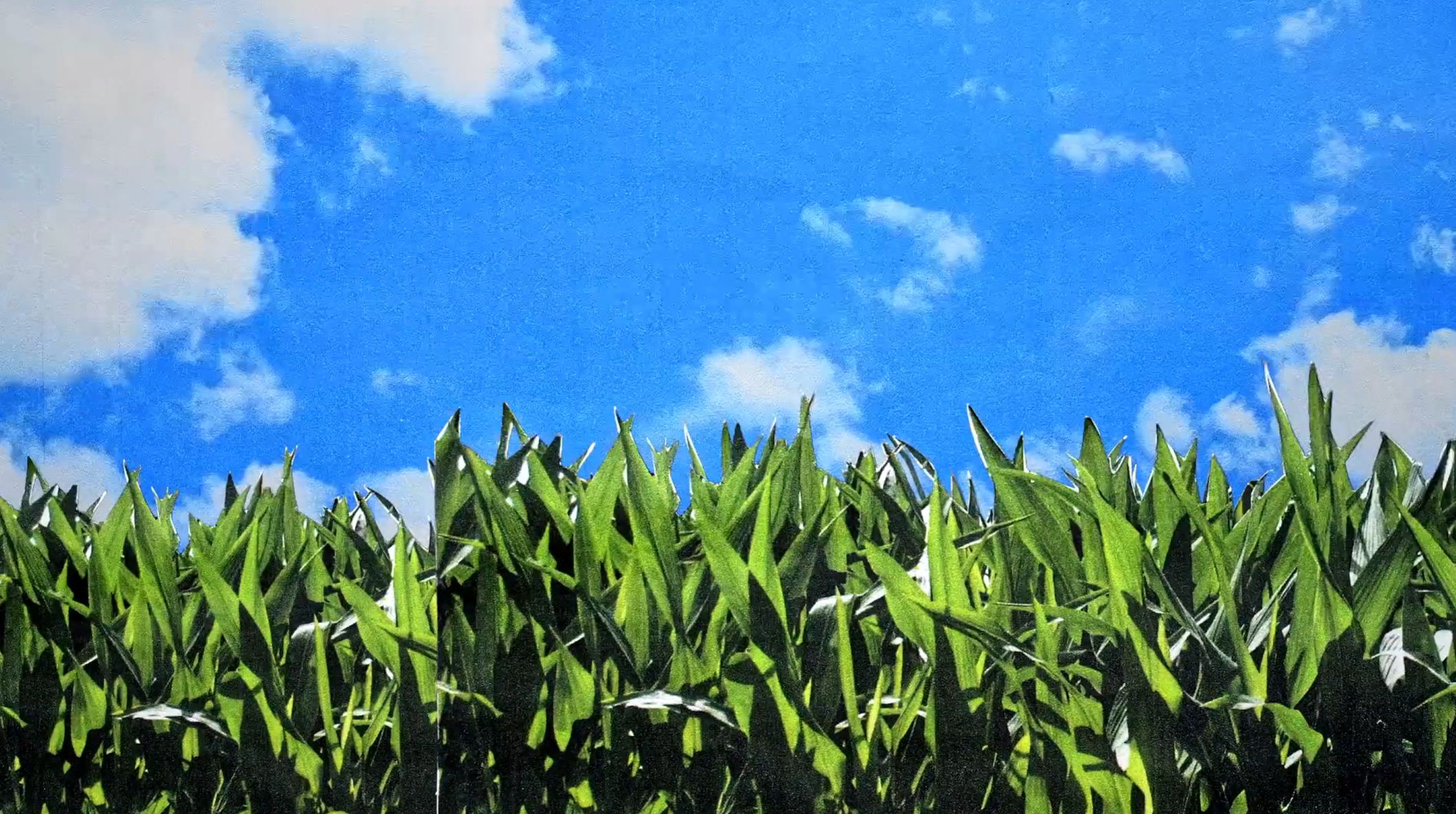 4-H Ambassador Video